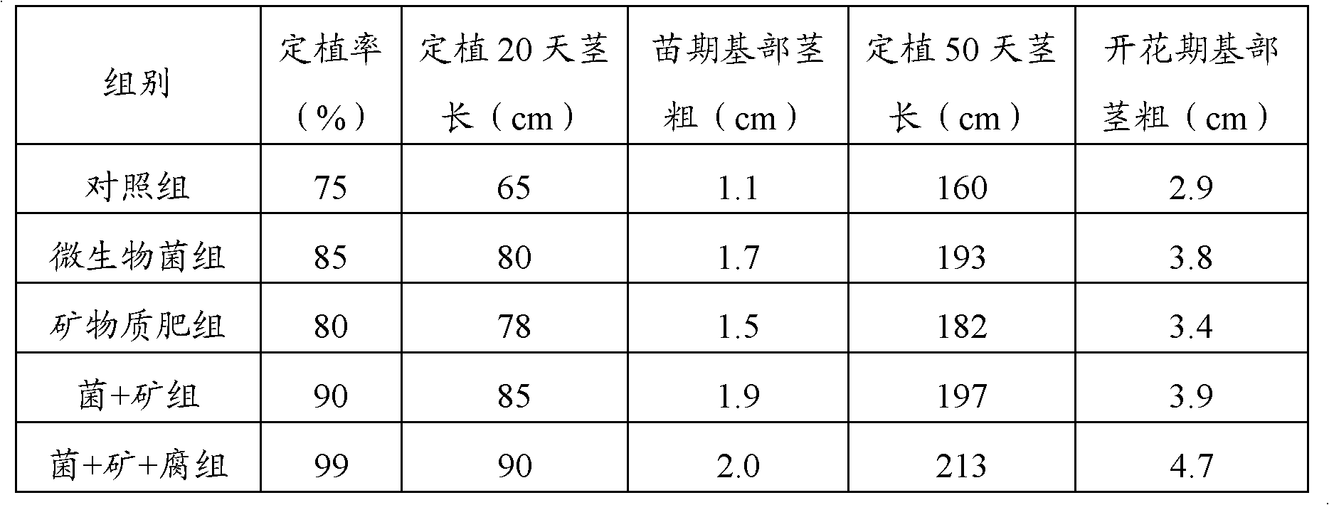 Microbial type mineral fertilizer and preparation method thereof