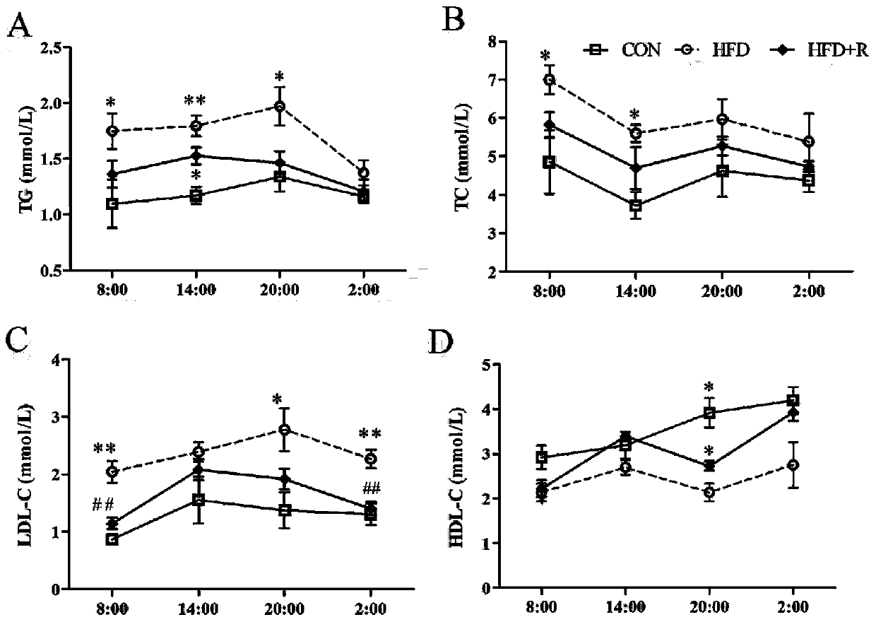 Application of breast milk-derived lactobacillus reuteri in reducing fat and regulating fat metabolism rhythm