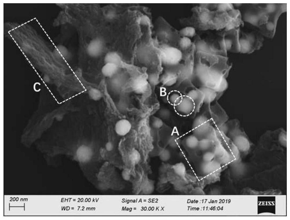 Preparation method of nitrogen-doped graphene loaded core-shell-shaped copper-carbon composite catalyst for producing formic acid through electro-catalysis of carbon dioxide