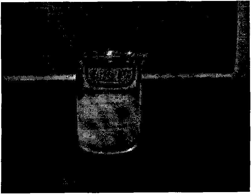 Emulsified oil for treating tinea pedis and preparation method thereof