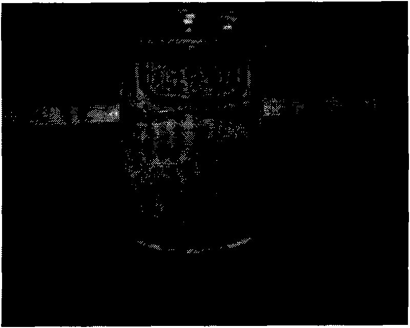 Emulsified oil for treating tinea pedis and preparation method thereof