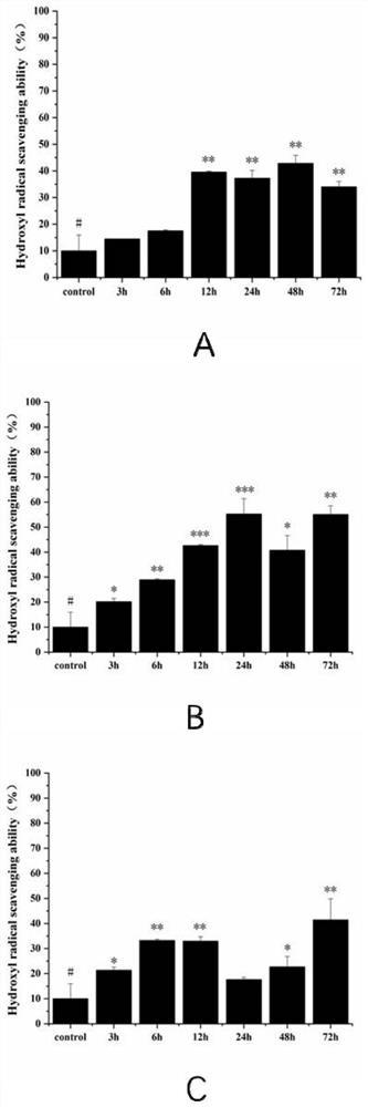 Lactobacillus fermentum MF423, fermented rice bran extract thereof and application of lactobacillus fermentum MF423 and fermented rice bran extract