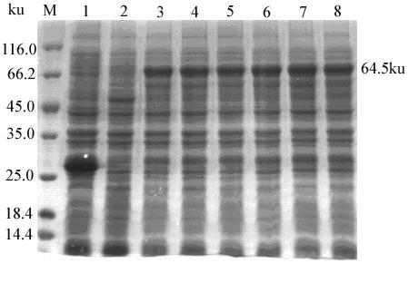 ELISA (enzyme-linked immunosorbent assay) detection method for identifying fowl adenovirus group I (FAVI) infection