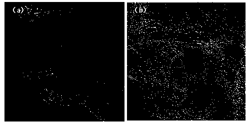 An ultra-small vanadium carbide embedded carbon nanotube material, a preparing method thereof and an application thereof in a water cracking hydrogen production aspect