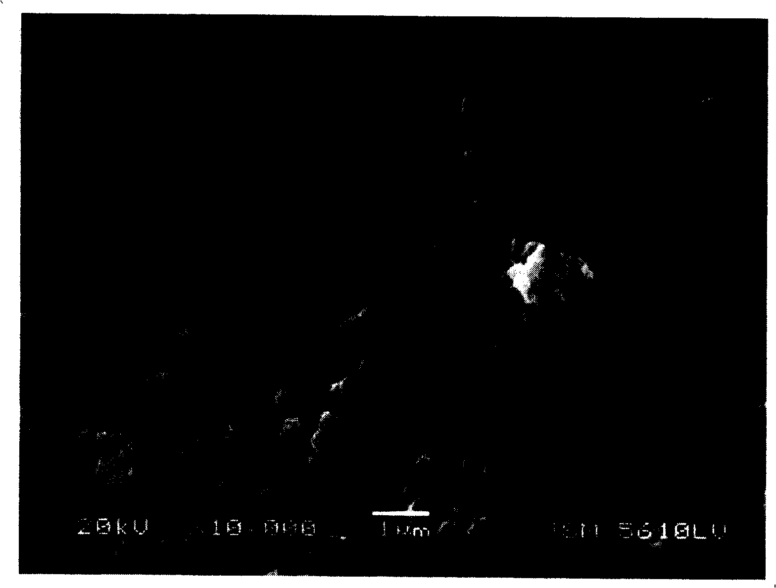 Preparation method for lithium ion secondary battery positive pole active substance lithium iron phosphate