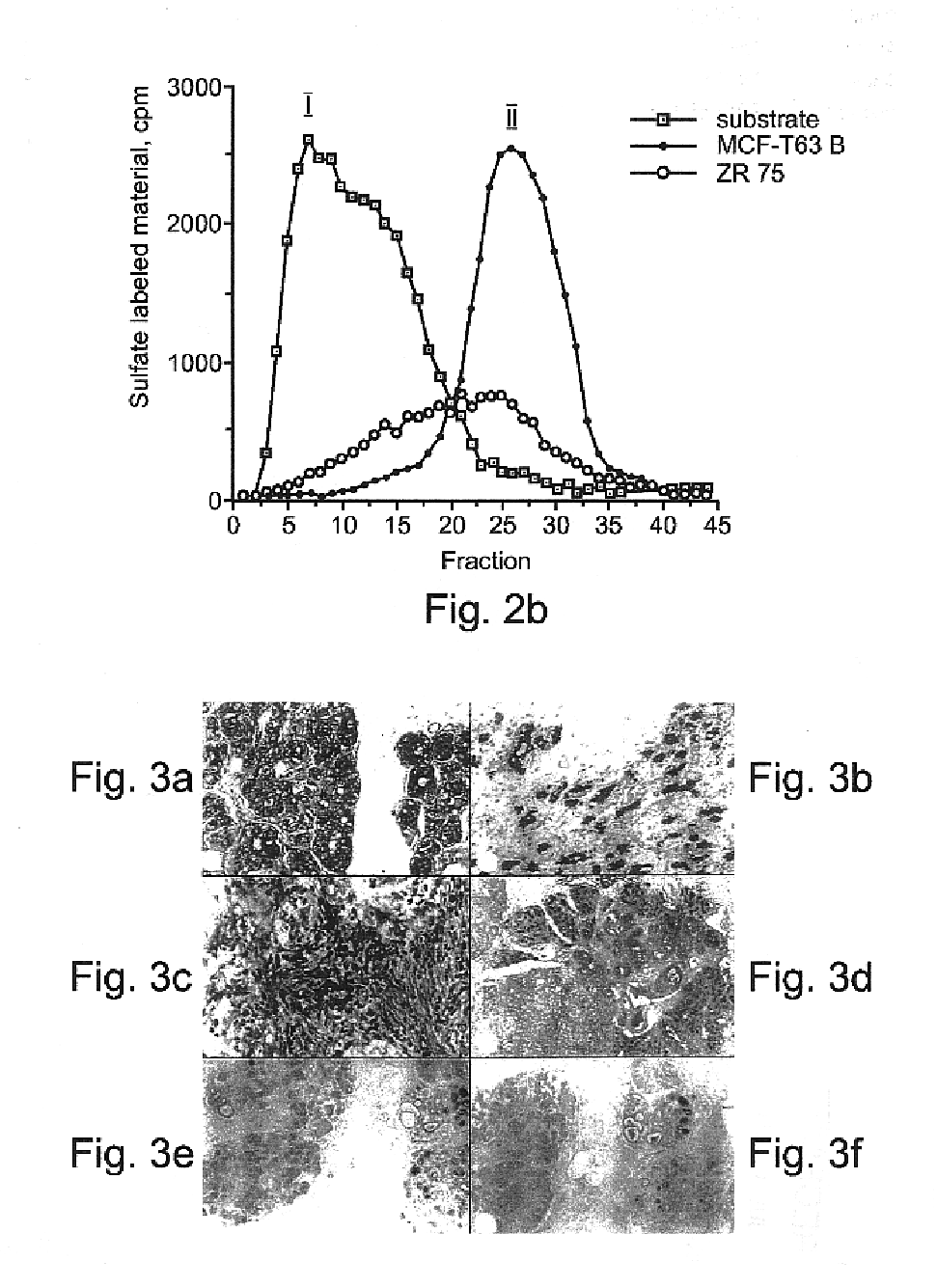 Heparanase specific molecular probes and their use research and medical applications