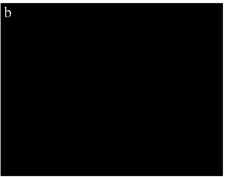 Controllable preparation method of carboxyl functionalized carbon nanotube