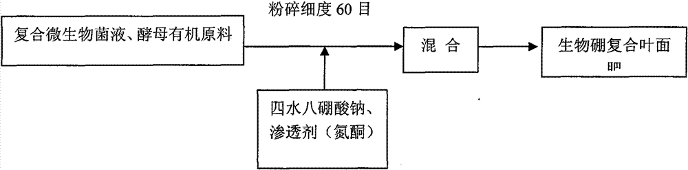 Bio boron compound foliar fertilizer and preparation method and application thereof