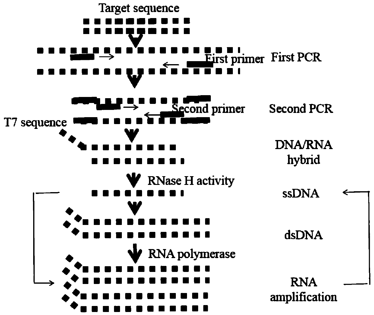 Kit for detecting prostate cancer and preparation method of kit