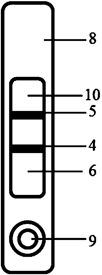 Plasticizer rapid test strip based on quantum dot marking and preparation method thereof