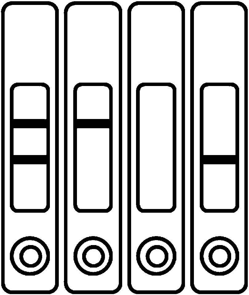 Plasticizer rapid test strip based on quantum dot marking and preparation method thereof