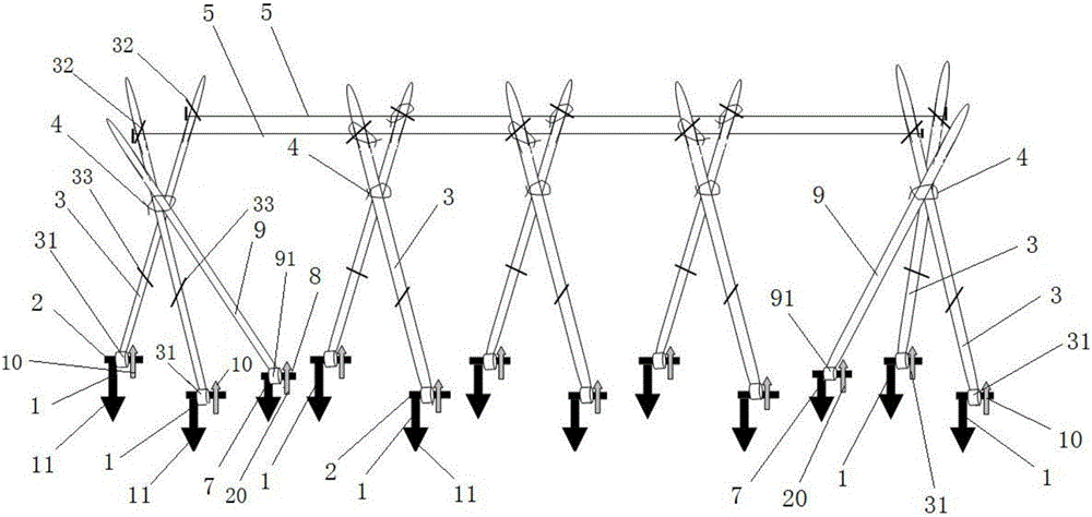 Anti-typhoon cowpea field cultivation method and anti-typhoon cultivation frame thereof