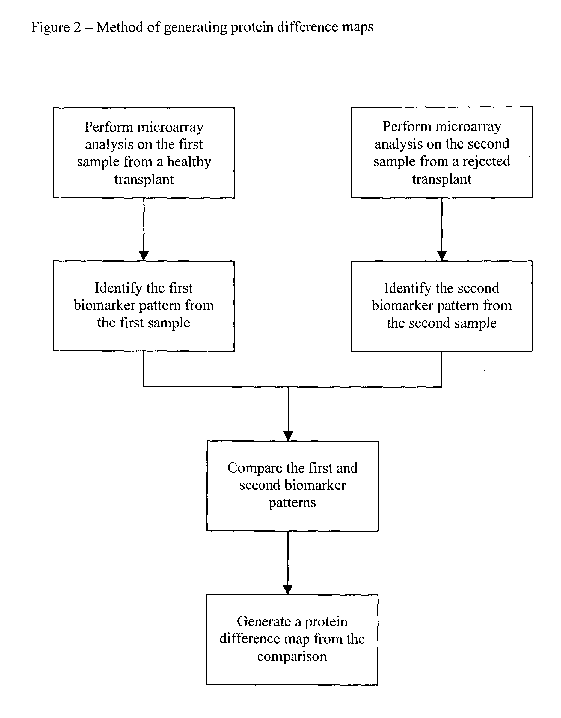 Method and use of protein microarray technology and proteomic analysis to determine efficacy of human and xenographic cell, tissue and organ transplant