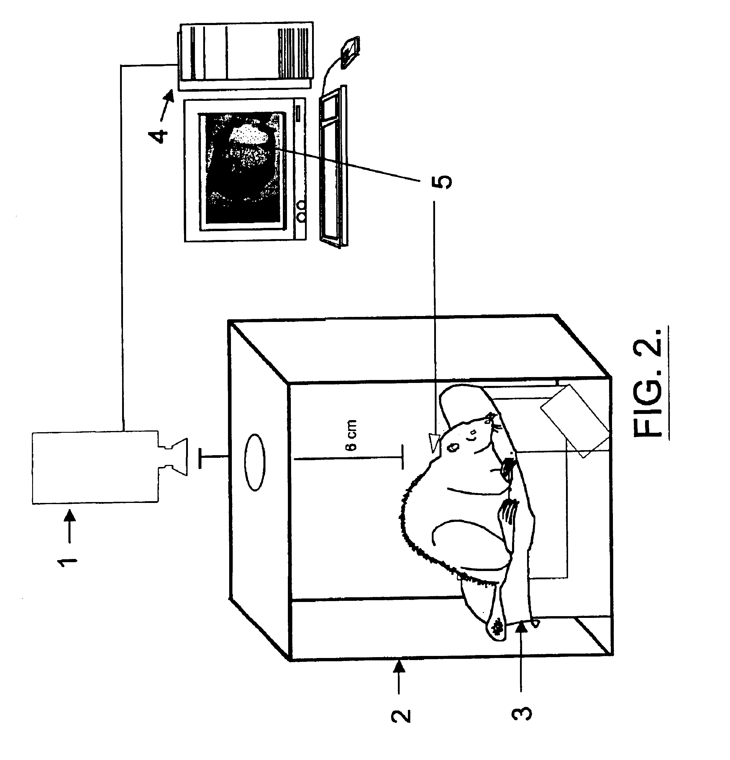 Infrared thermography