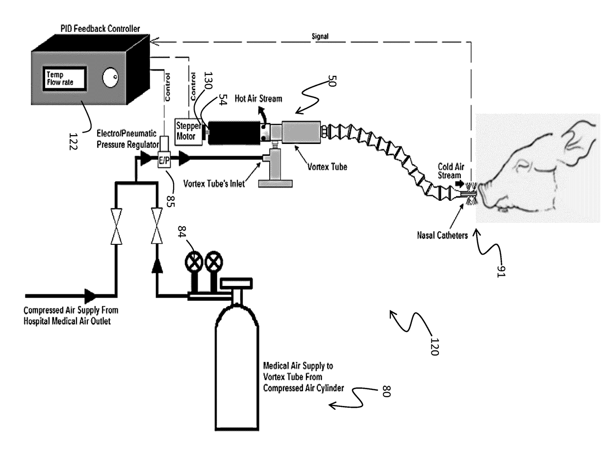 Mammalian head cooling system and method