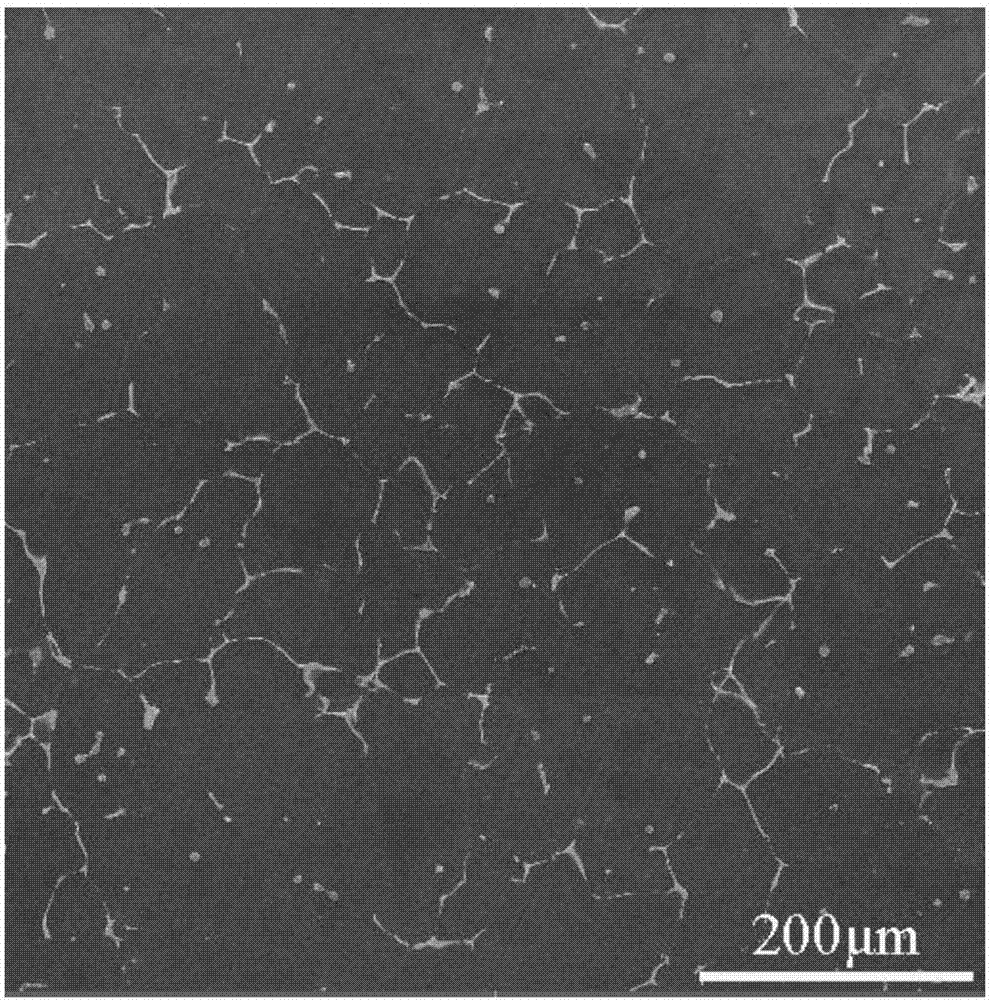 Non-rare-earth high-strength wrought magnesium alloy and preparing method thereof