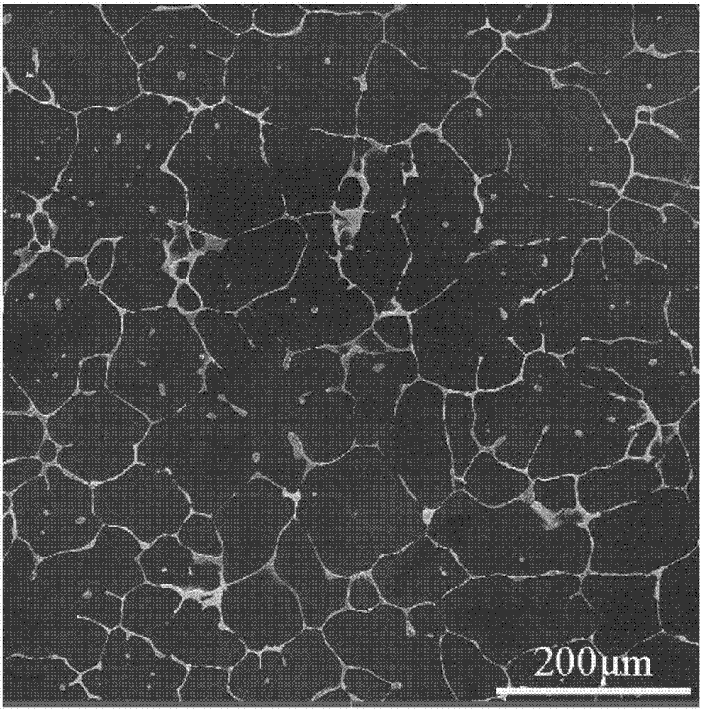 Non-rare-earth high-strength wrought magnesium alloy and preparing method thereof