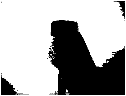 Aminated graphene aerogel based efficient adsorbent as well as preparation method and application thereof