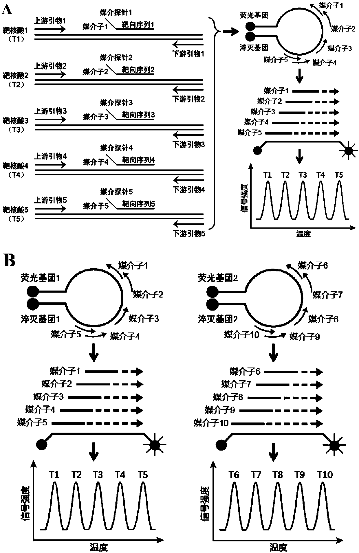 Method for detecting bacterium serotypes