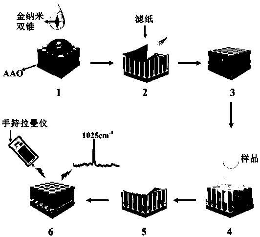 Method for rapidly producing surface enhanced Raman active substrate