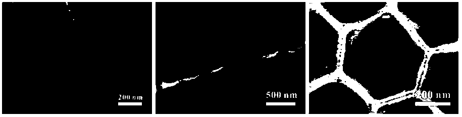 Method for rapidly producing surface enhanced Raman active substrate