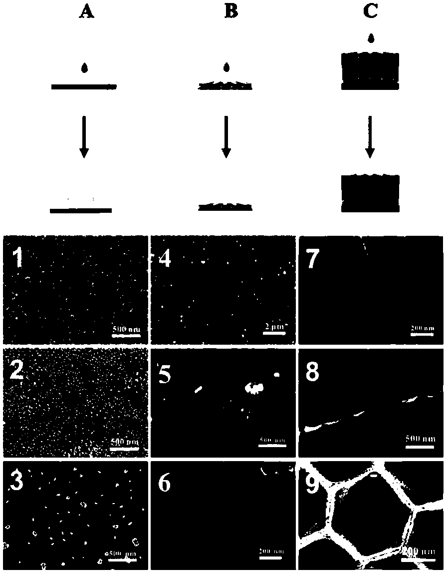 Method for rapidly producing surface enhanced Raman active substrate