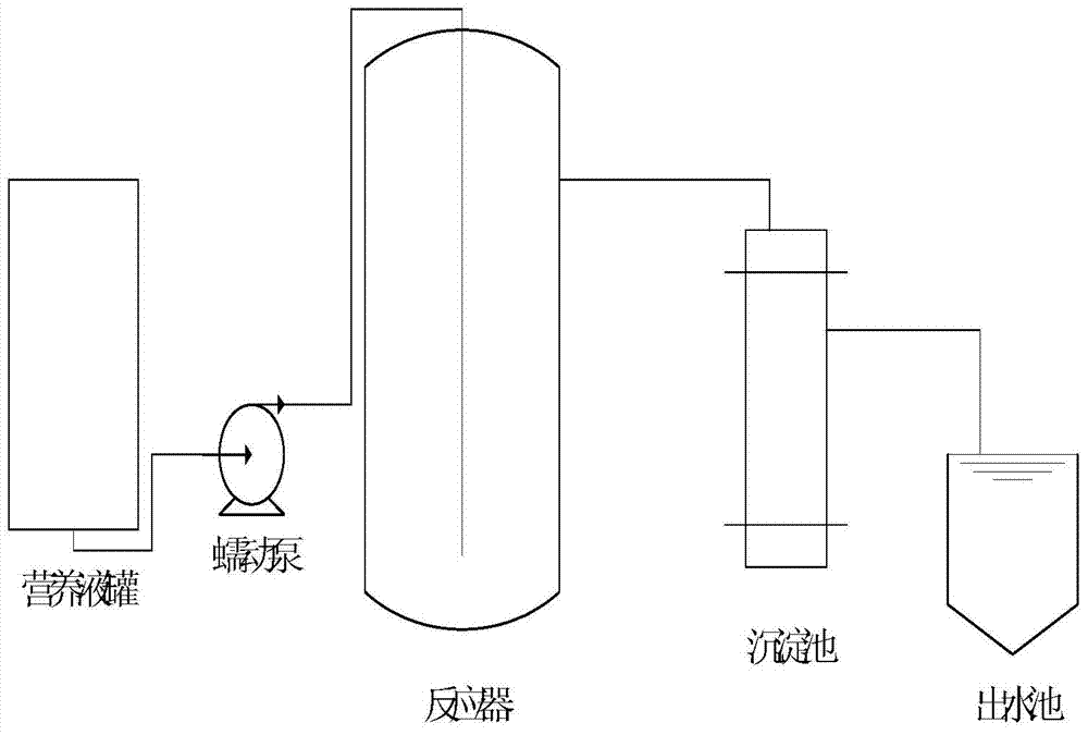 Method for separating heterotrophic ammonia-oxidizing microorganism from oligotrophic aquatic sediment