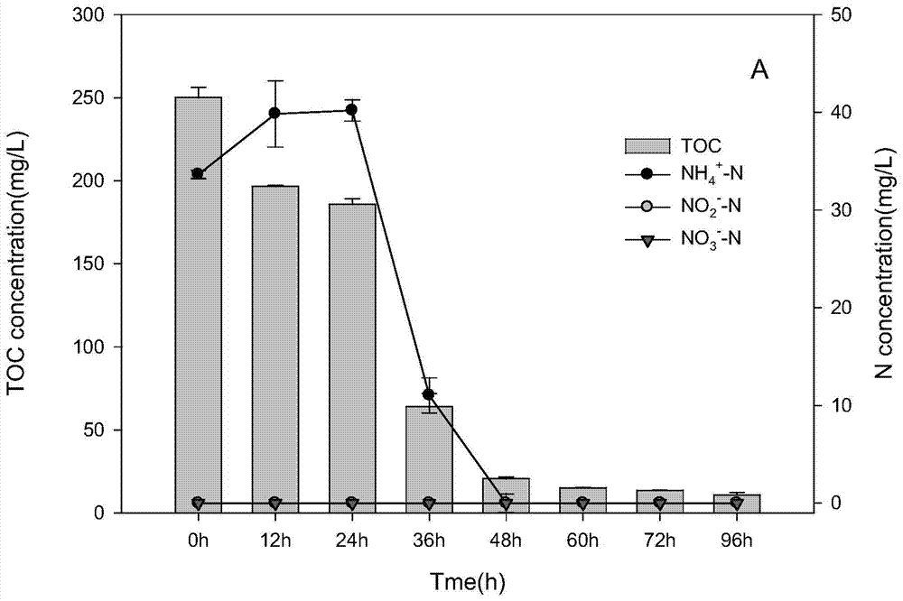 Method for separating heterotrophic ammonia-oxidizing microorganism from oligotrophic aquatic sediment