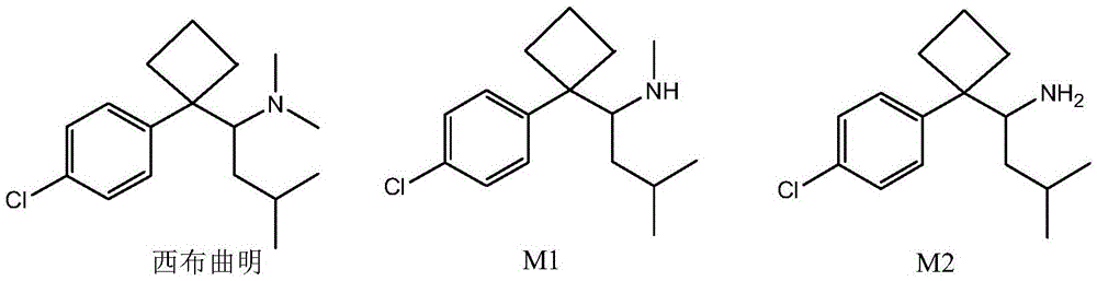 A kind of sibutramine magnetic molecularly imprinted polymer and its preparation method