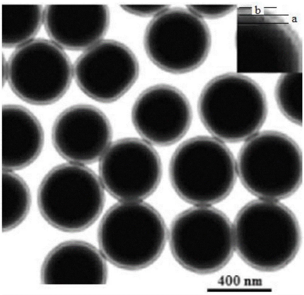 A kind of sibutramine magnetic molecularly imprinted polymer and its preparation method