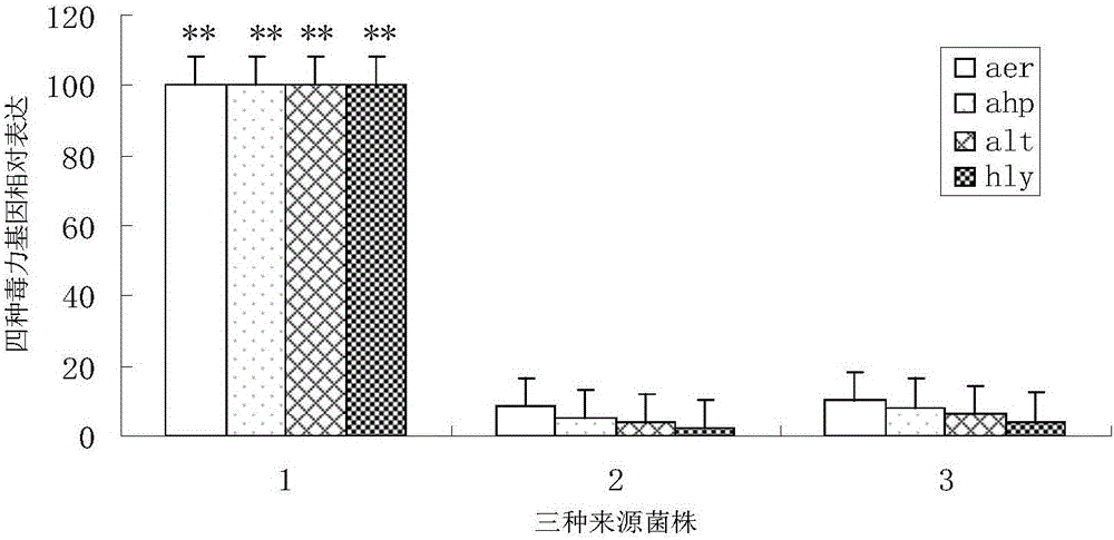 Bi-combined inactivate vaccine of aeromonas hydrophila and aeromonas veronii and preparation method thereof