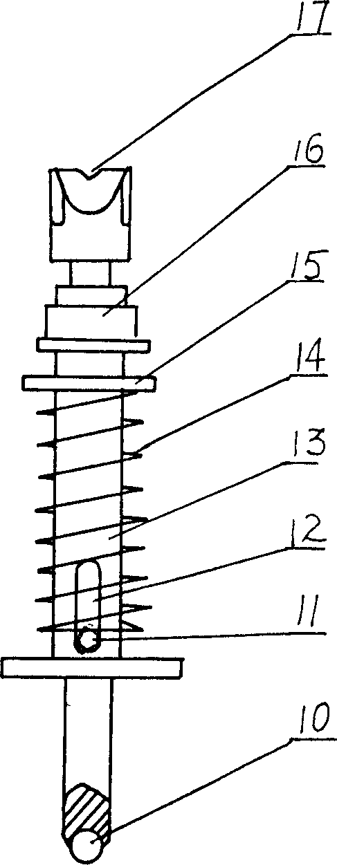 Multifunctional modulation zheng