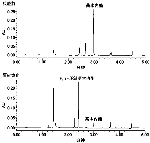 A kind of preparation method of 6,7-epoxy ligustilide