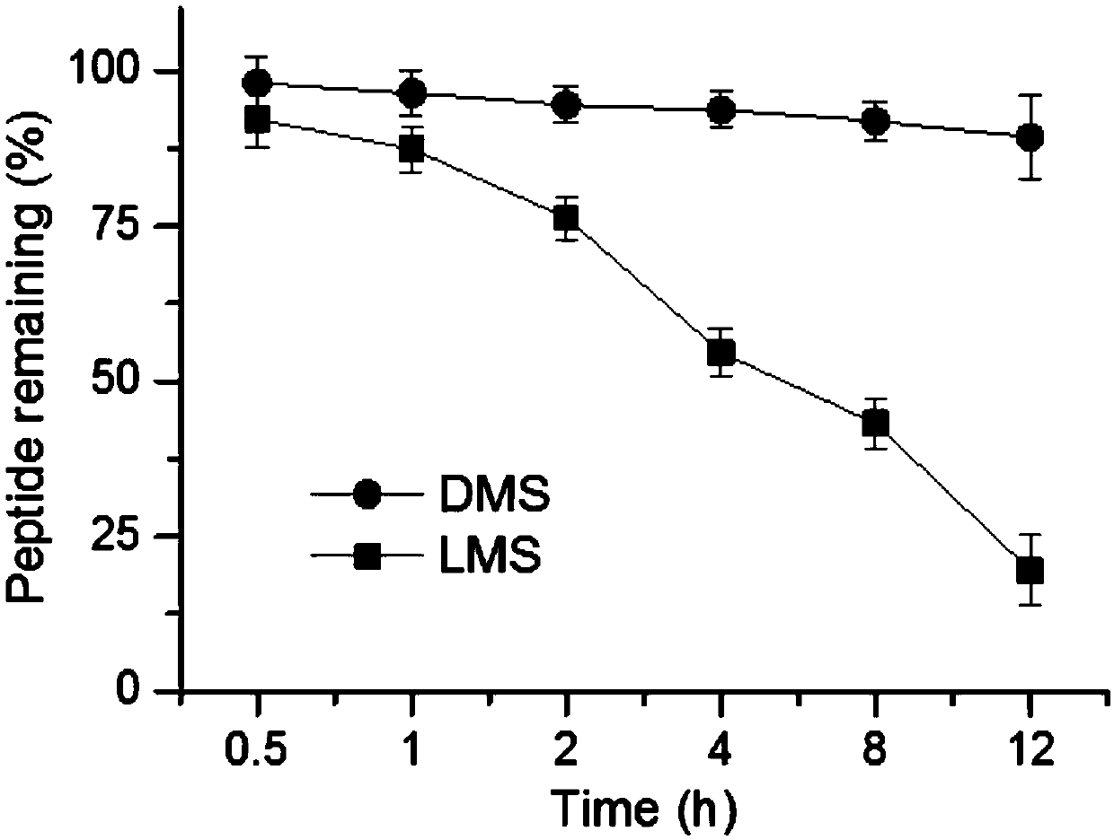 Polypeptide, polypeptide-modified lipid carrier and application of lipid carrier