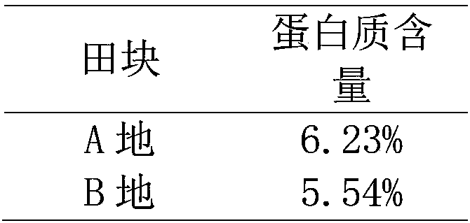 Planting method for increasing protein content of rice and application of planting method