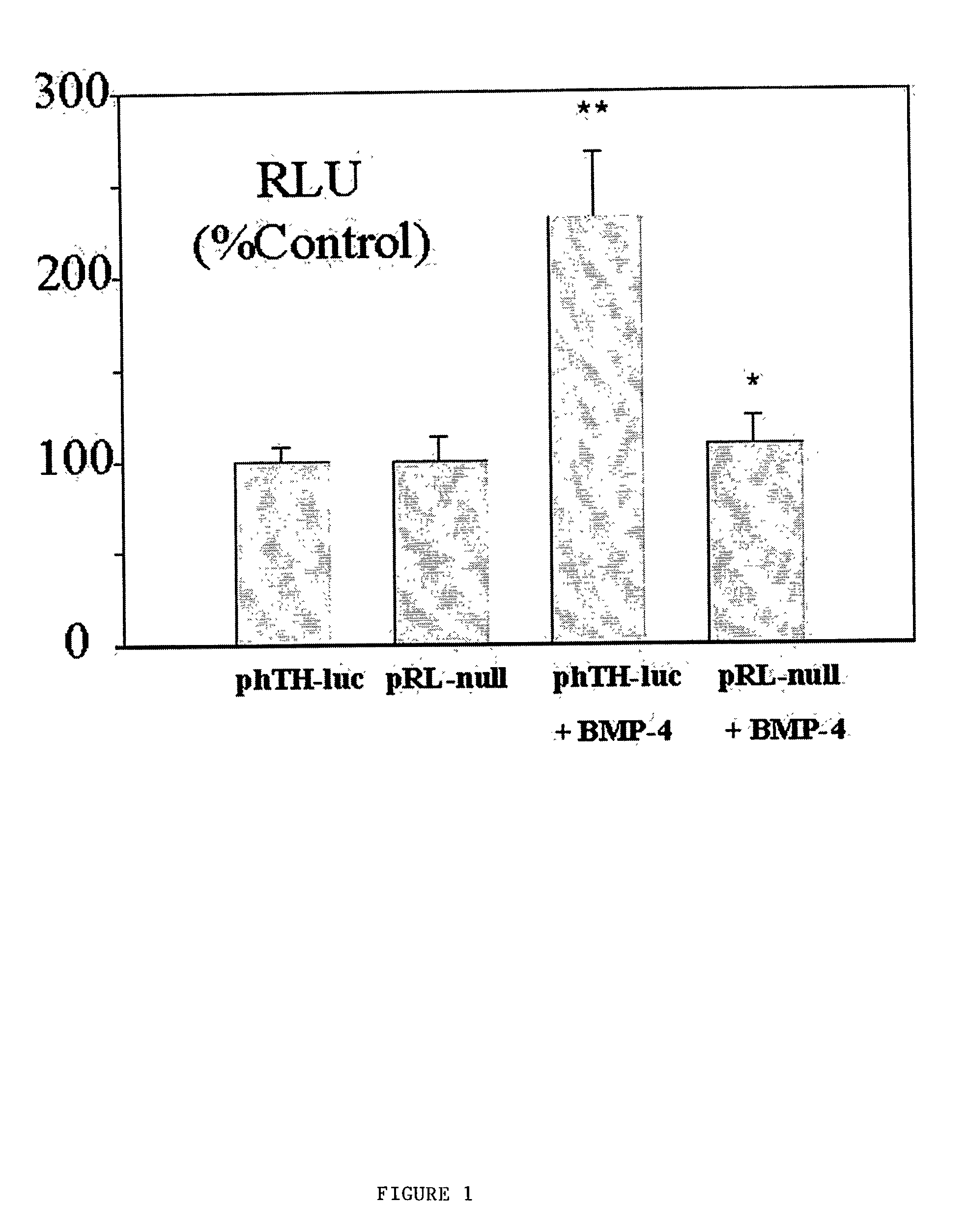 Human tyrosine hydroxylase promoter and uses thereof