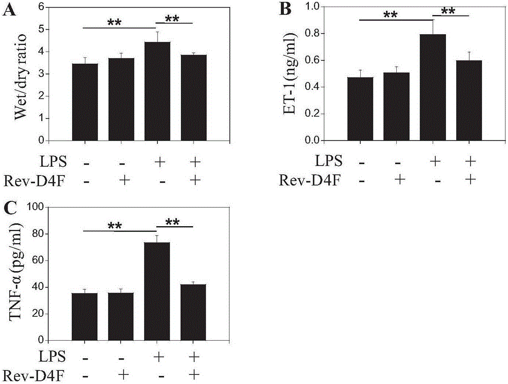 Application of high-density protein mimic peptide Reverse-D-4F in preparation of medicines for treating LPS-induced respiratory distress syndrome