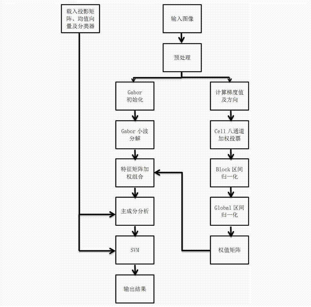 Automatic gender identification system and method