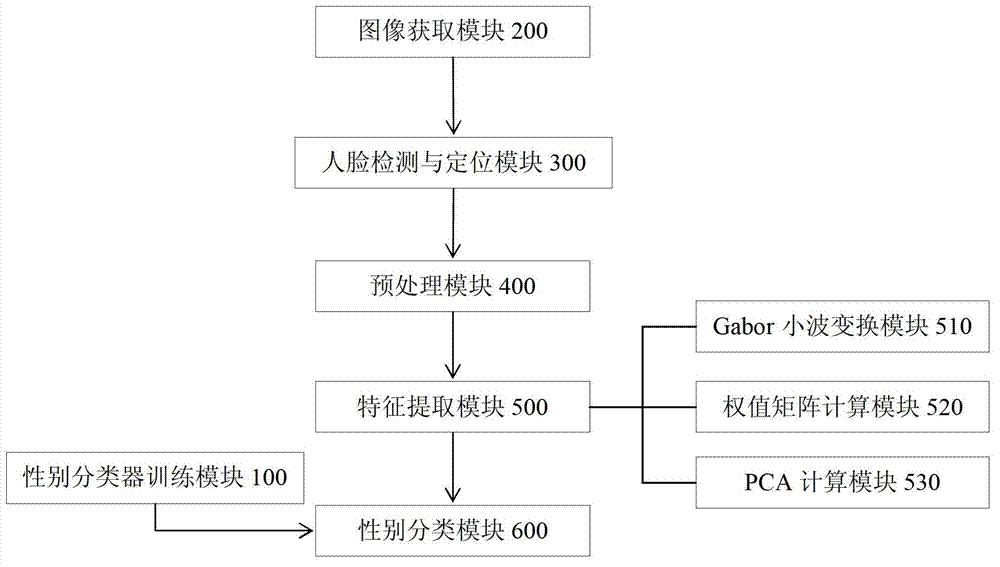 Automatic gender identification system and method