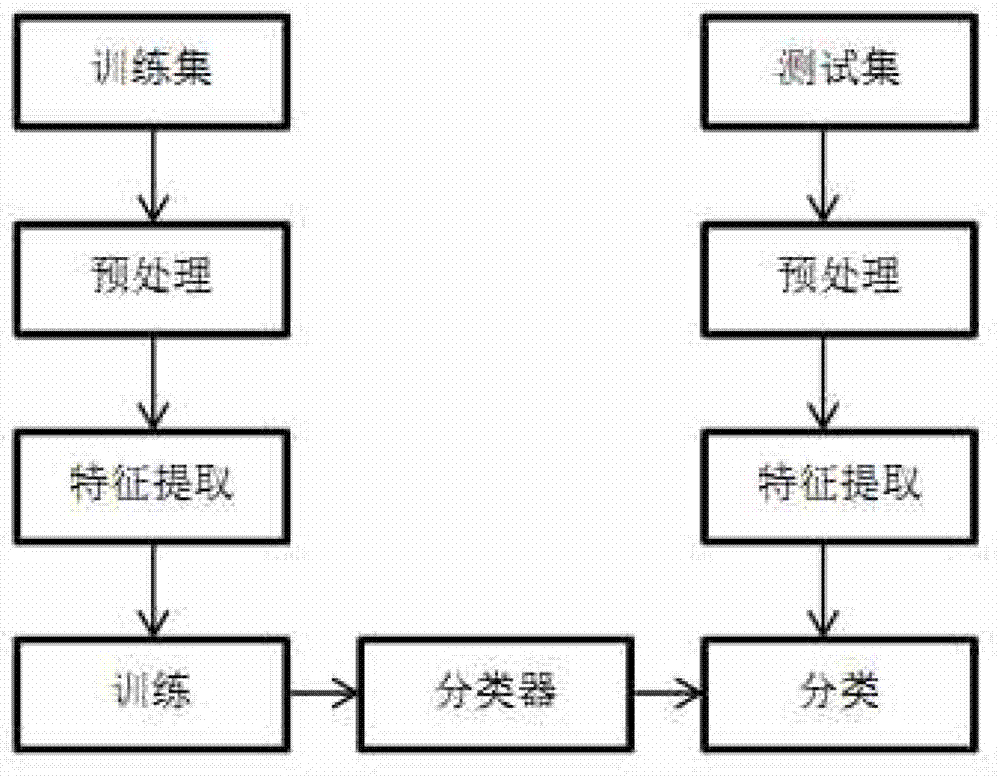 Automatic gender identification system and method