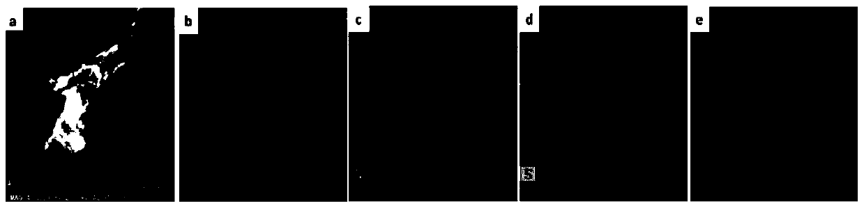 A lignin-based transition metal-nitrogen-doped carbon material and its preparation and application