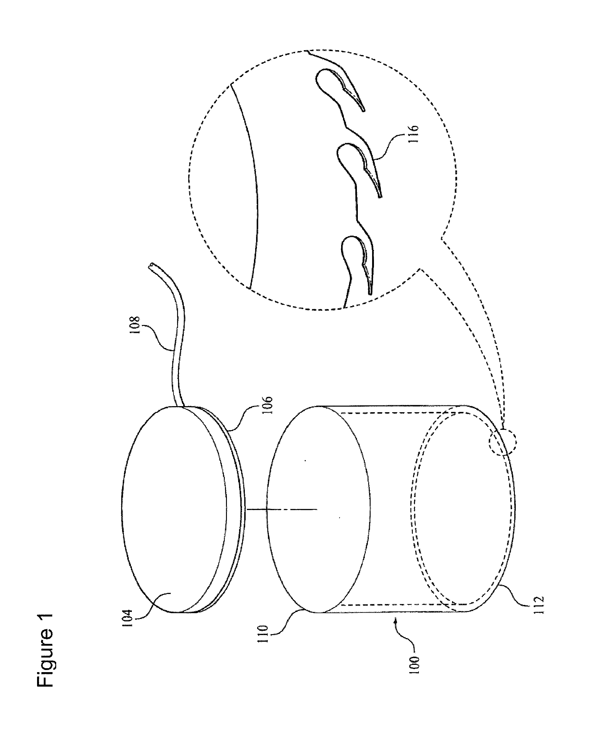 Skin screw electrodes