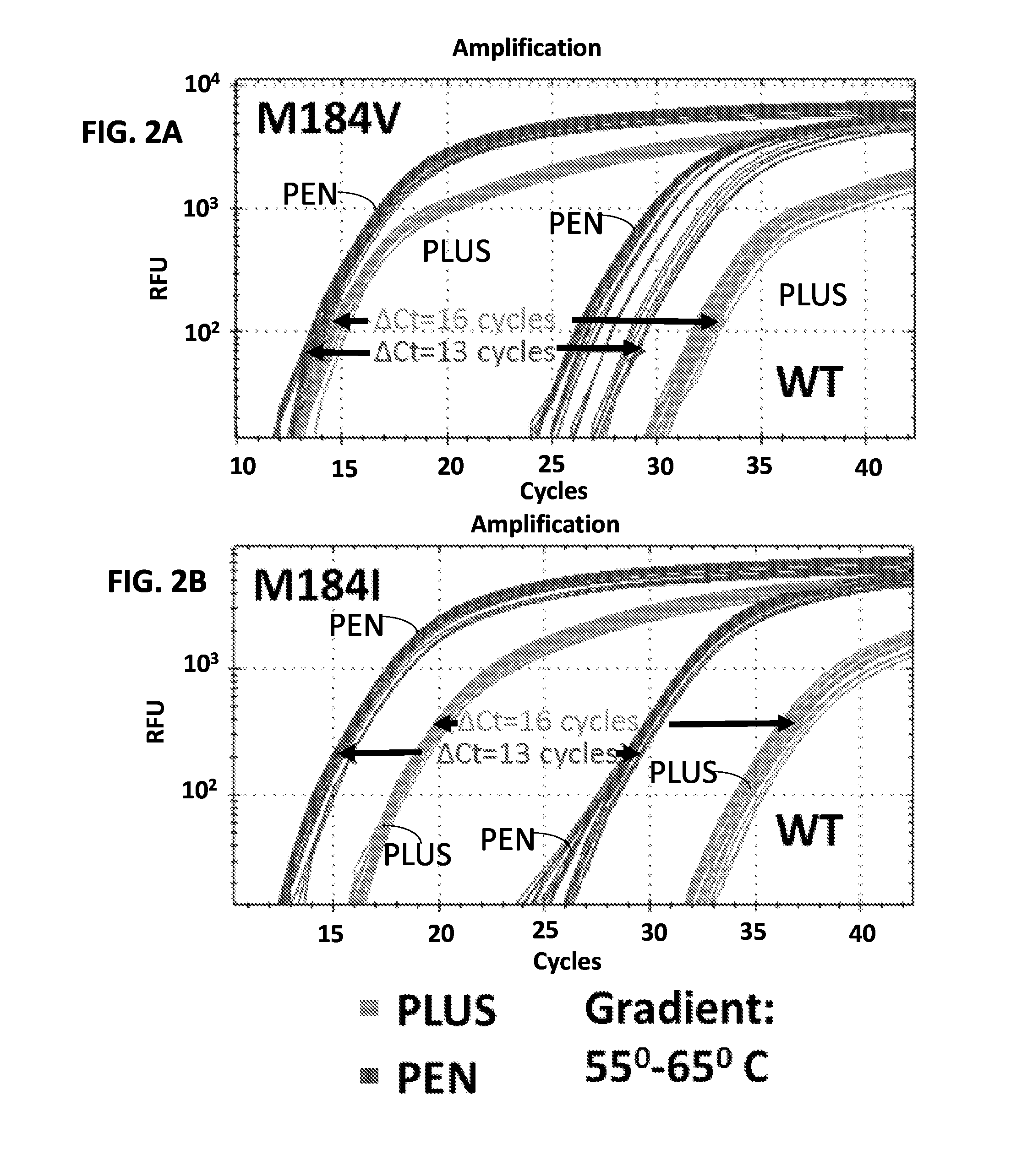 Allele specific PCR assay for detection of nucleotide variants