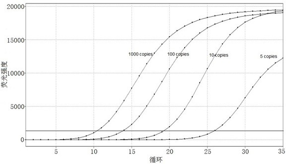 A nucleic acid composition, kit and detection method for detecting human fgfr2 gene fusion mutation