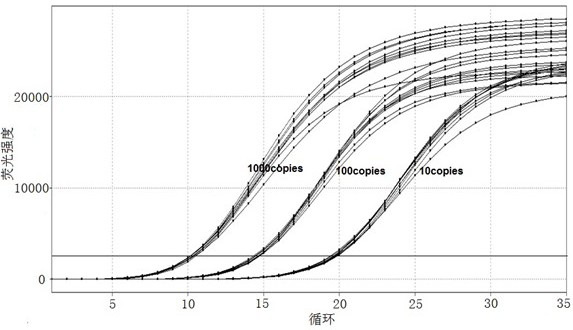 A nucleic acid composition, kit and detection method for detecting human fgfr2 gene fusion mutation