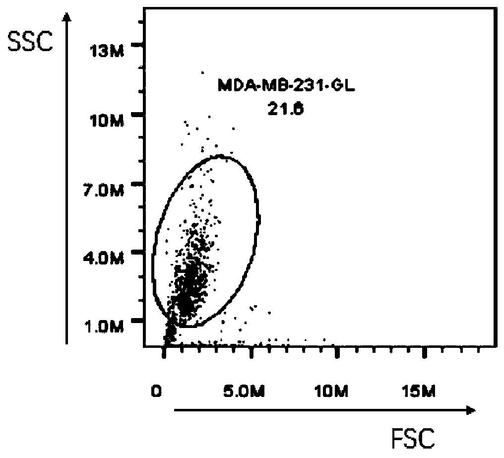 Method capable of improving cell state and application thereof