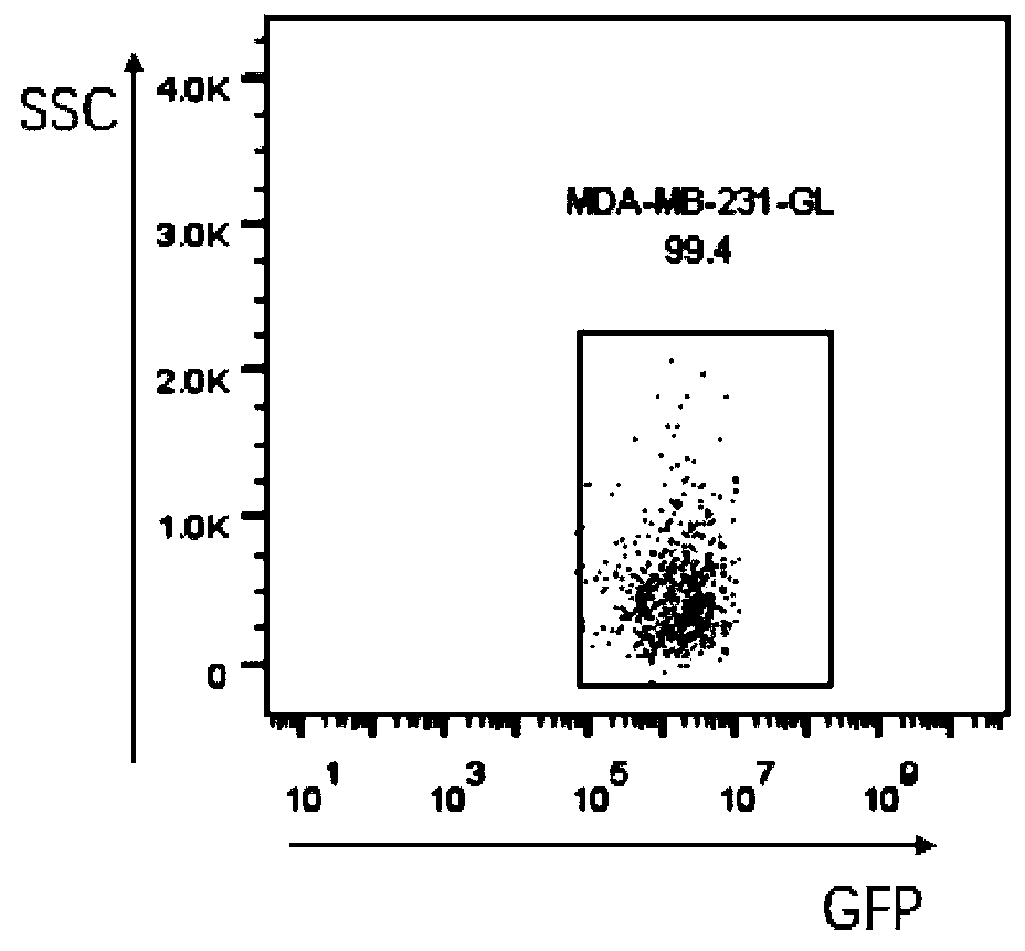 Method capable of improving cell state and application thereof