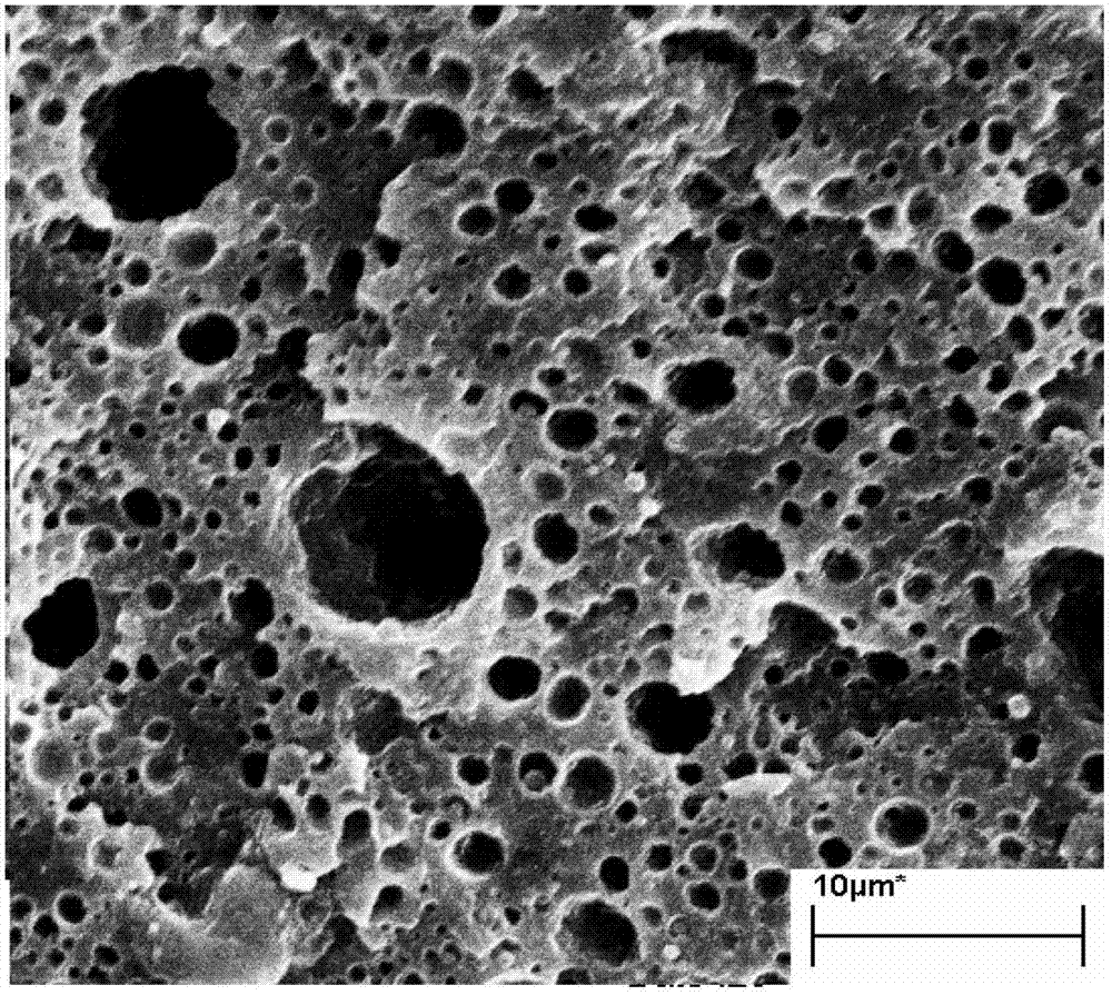 Supernylon 6 alloy and method for prearing supernylon 6 alloy by means of in-situ reaction compatibilization