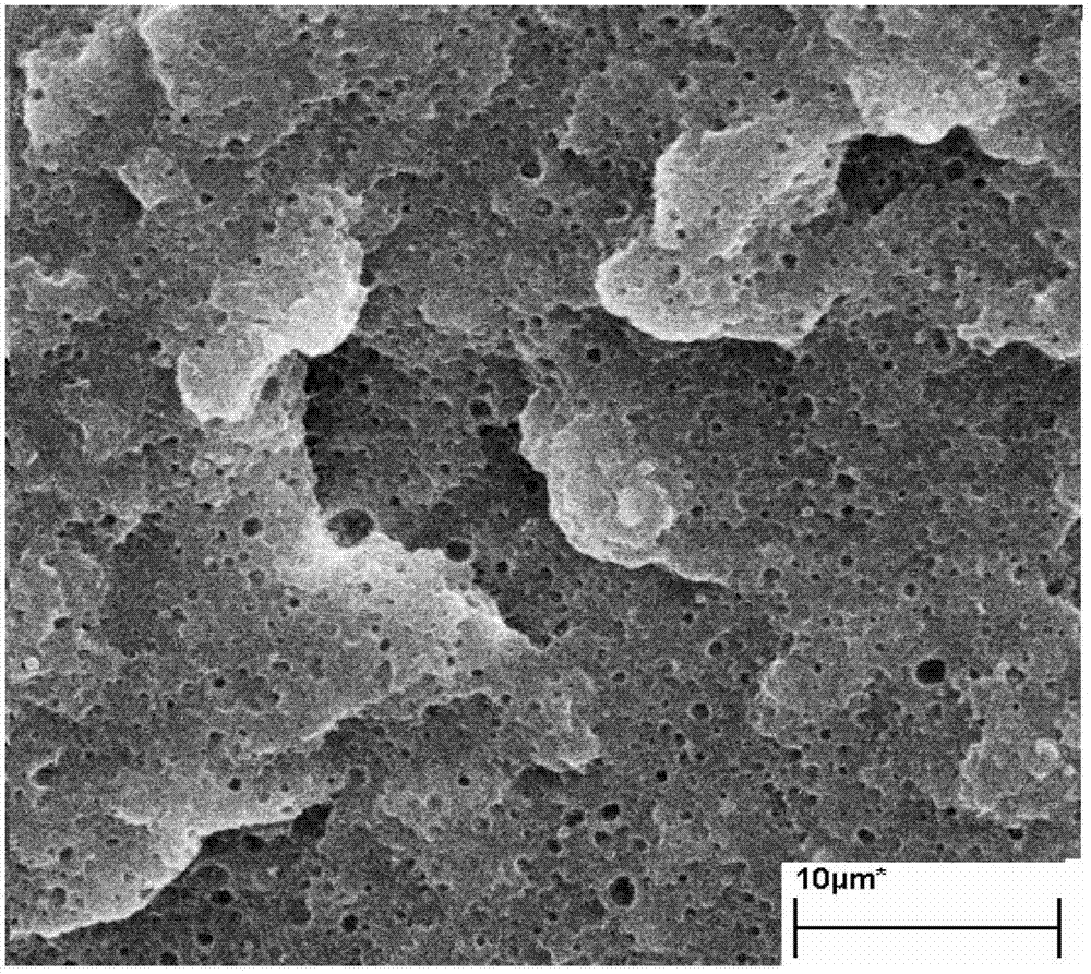 Supernylon 6 alloy and method for prearing supernylon 6 alloy by means of in-situ reaction compatibilization