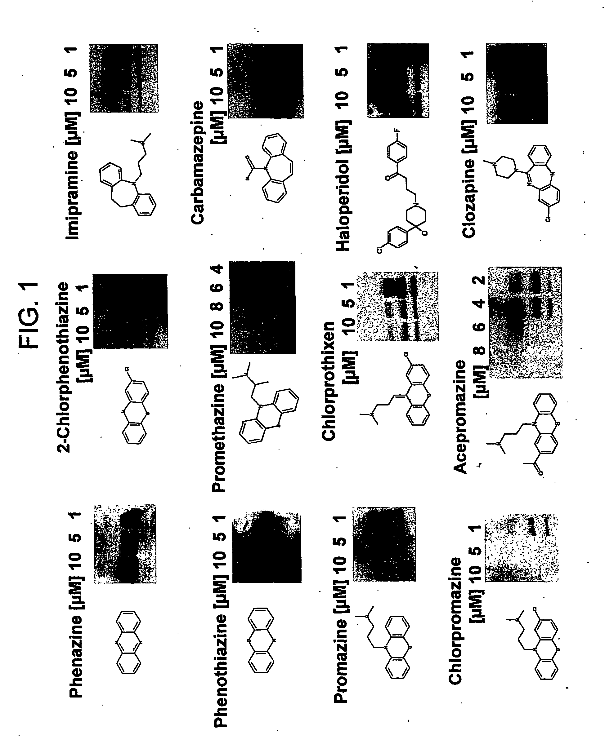 Optically active compounds clearing malformed proteins